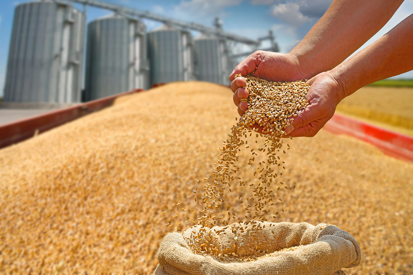 Illustration d’automatisation industrielle — Grain Handling Industrial Automation Hero